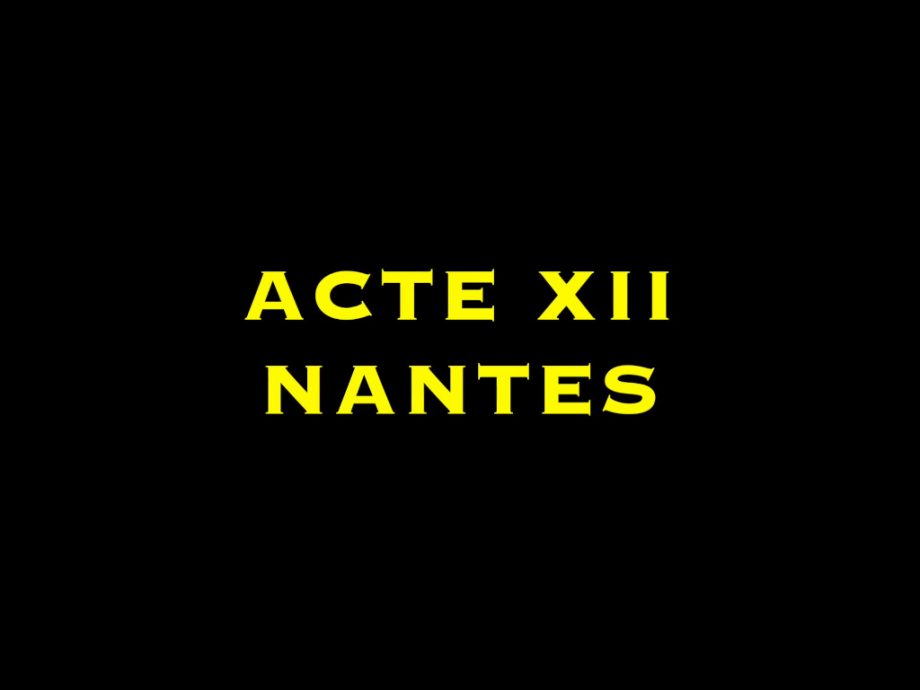 Acte 12 à Nantes : unis et solidaires