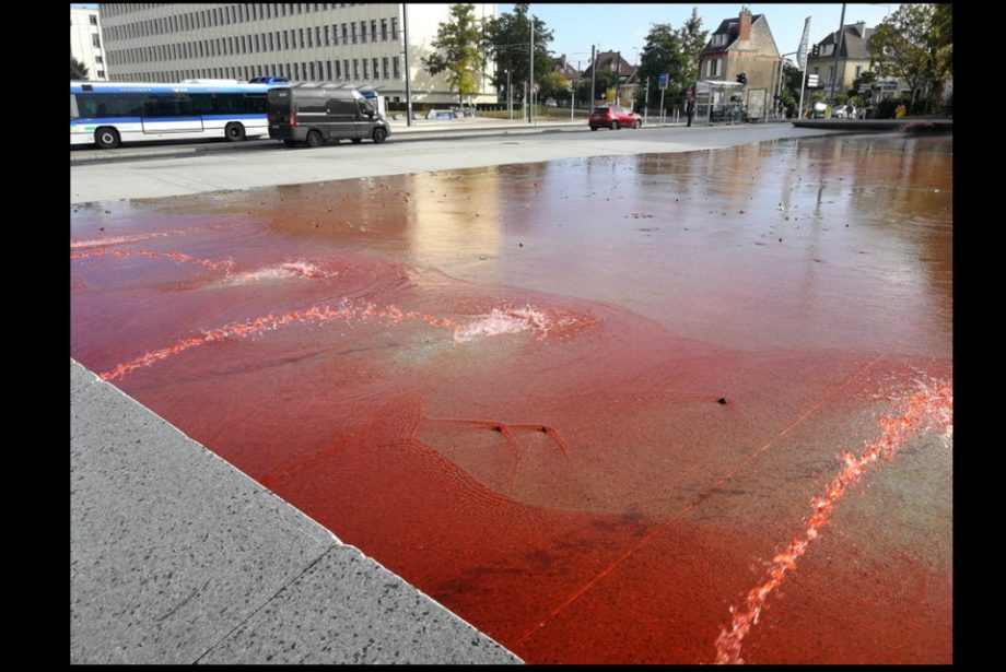 Caen : hommage à Steve