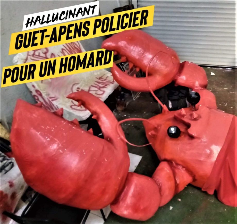 Hallucinant : guet-apens policier pour capturer un homard géant !