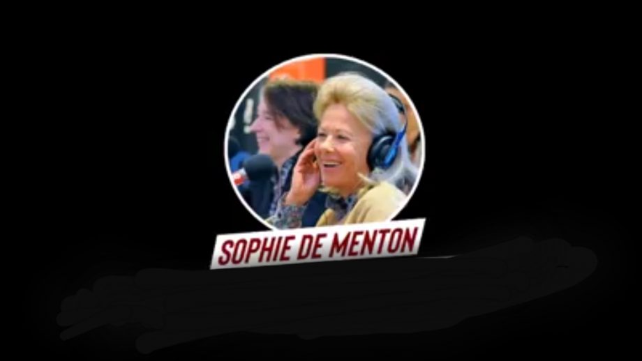 Sophie de Menthon à la télé : «Benalla a juste cassé la gueule à des manifestants» !