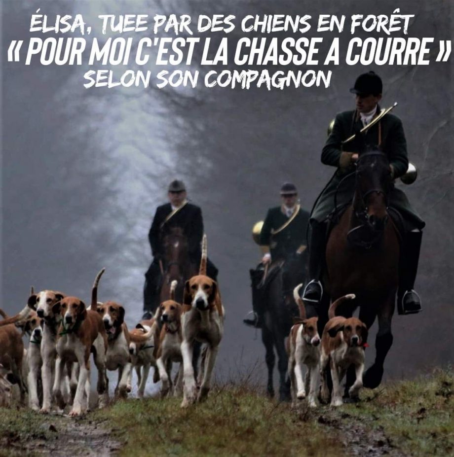 Élisa, tuée par des chiens : «Pour moi c’est la chasse à courre» selon son compagnon