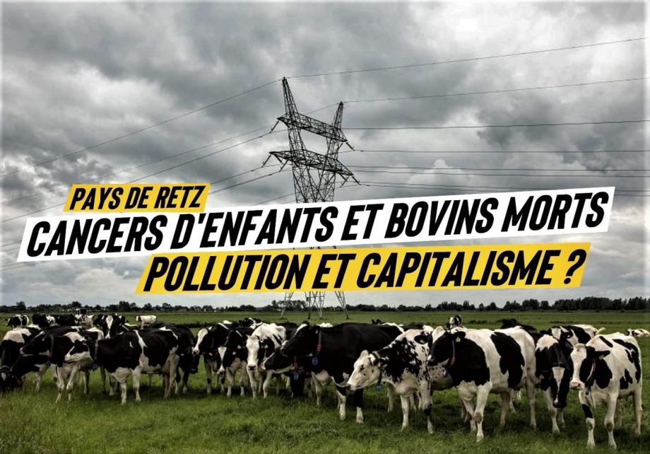Cancers d’enfants en Loire-Atlantique : pollution et capitalisme ?