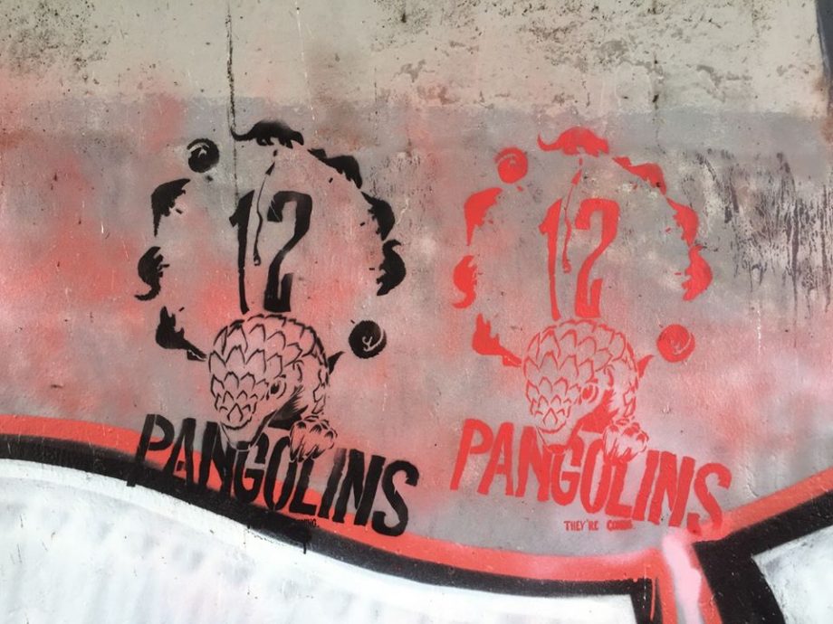 Manifestations au balcon : les rues ont la parole