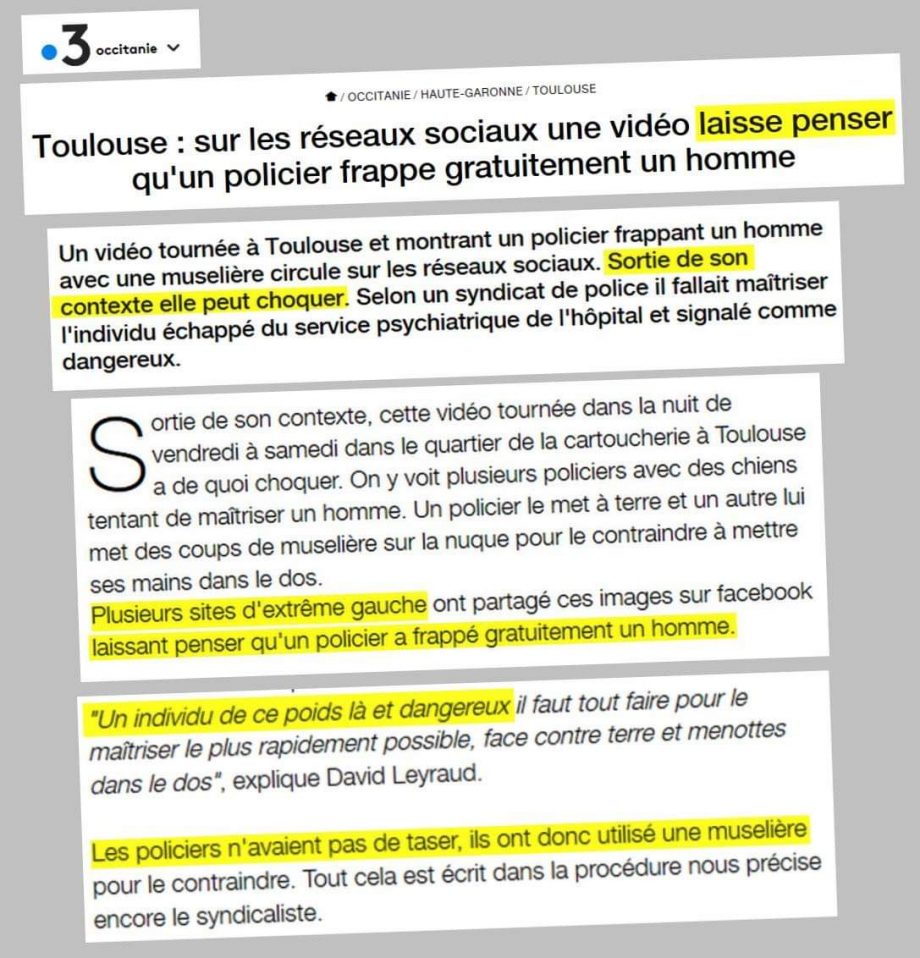 Chiens de garde XXL