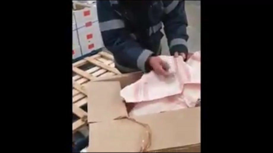 Bonne nouvelle : les masques sont enfin arrivés !