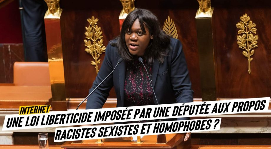 Internet : une loi liberticide imposée par une députée En Marche raciste, sexiste et homophobe ?