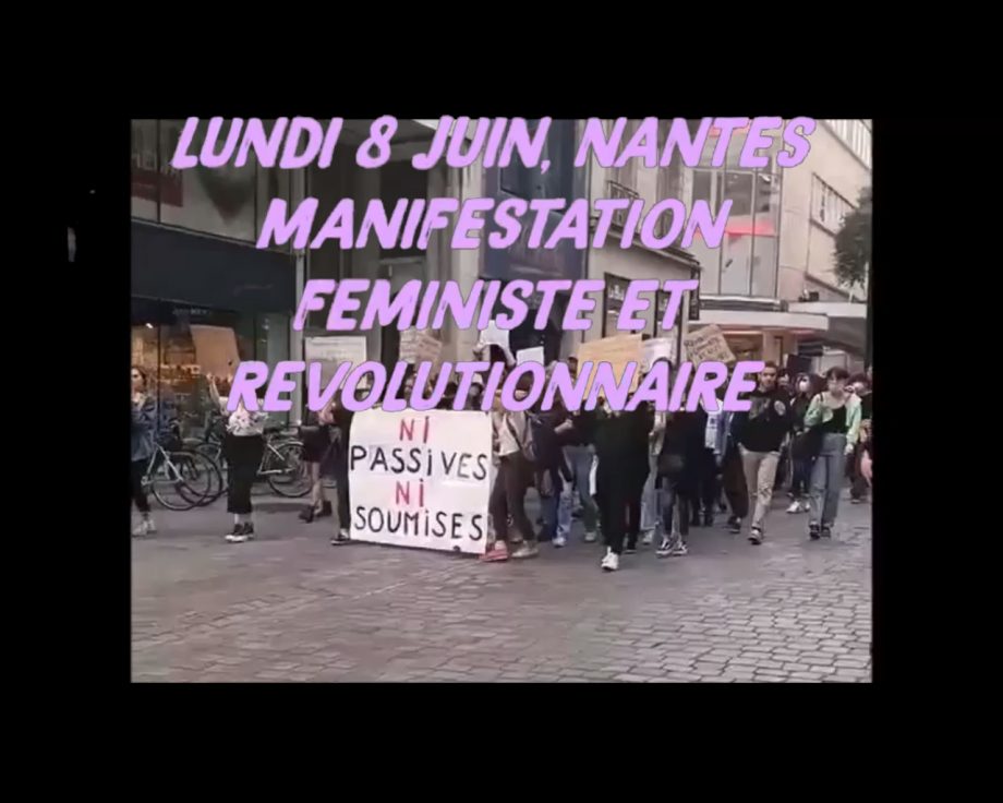 Nantes : action éclair des féministes révolutionnaires