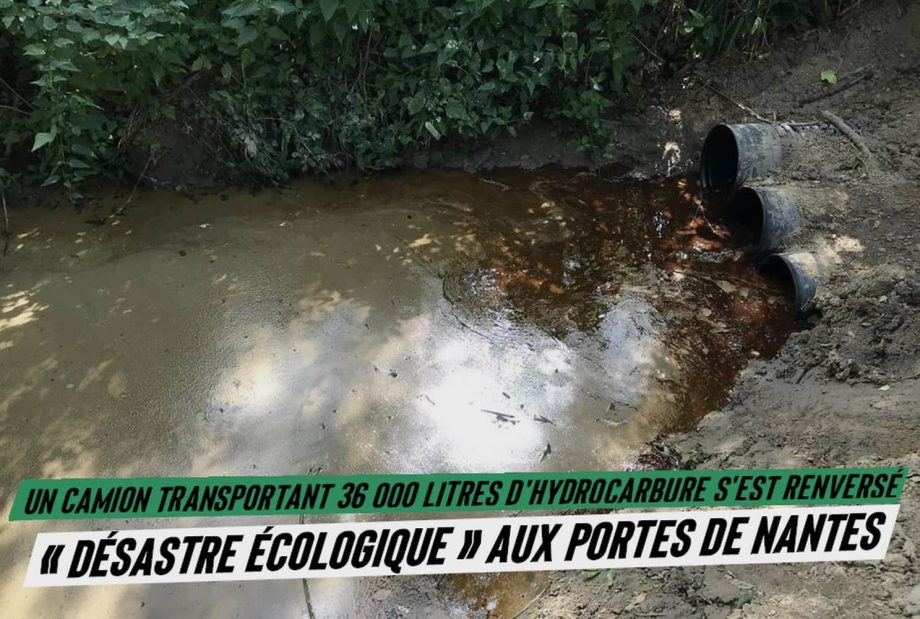 «Désastre écologique» aux portes de Nantes