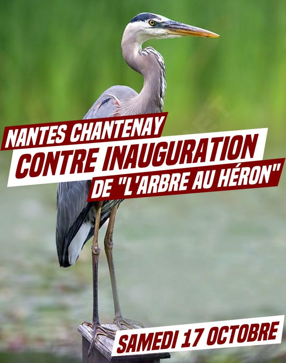 Stop à l&rsquo;Arbre aux Hérons : « Contre inauguration » ce samedi à Nantes