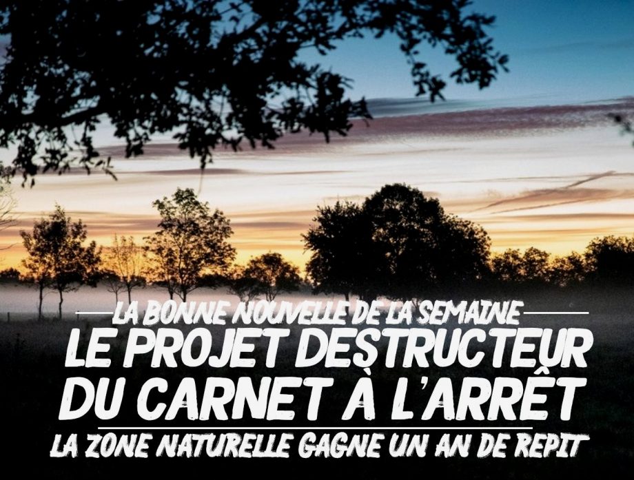 La bonne nouvelle de la semaine : le projet du Carnet à l’arrêt