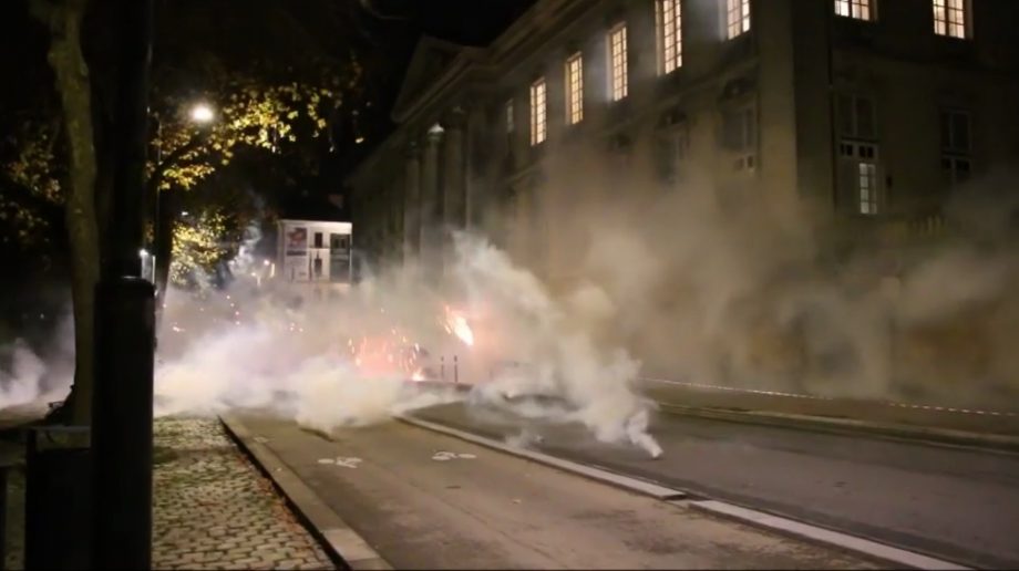 En images : comme des lions en cage