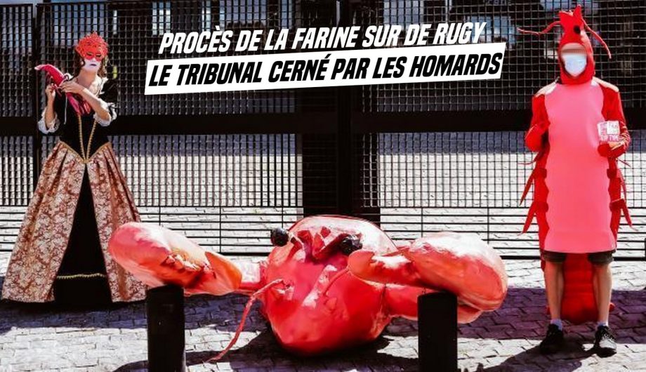 De Rugy, procès de l’enfarinage à Nantes : homards en folie