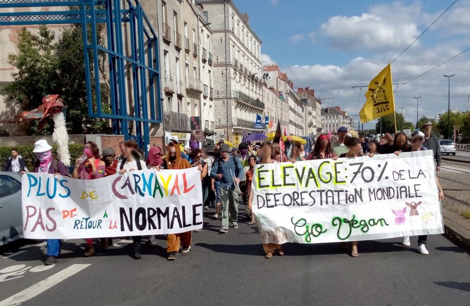 Carnaval pour le vivant : rendez-vous Carrière Miséry, Bas-Chantenay !