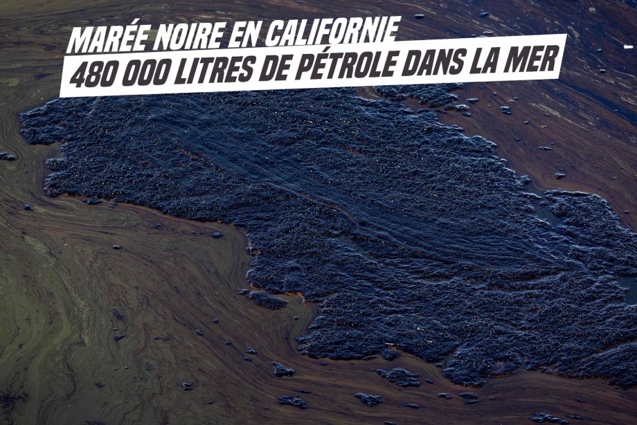 Marée noire historique en Californie
