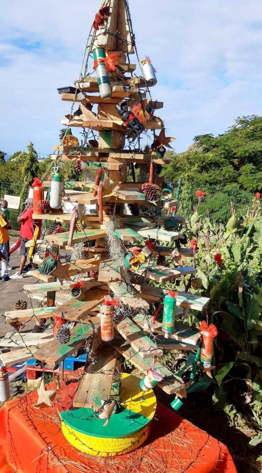 Guadeloupe : sapin lacrymogène