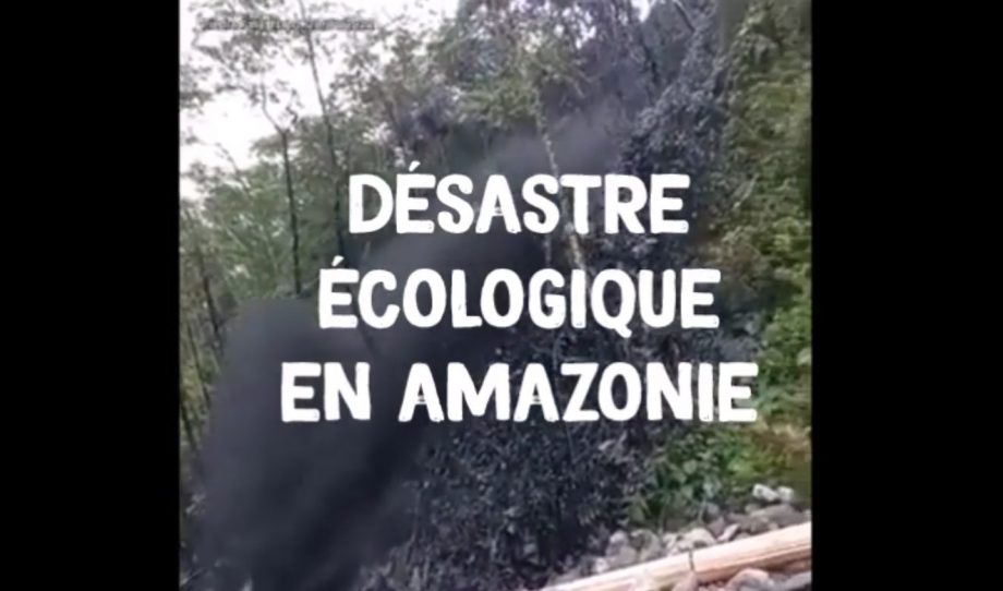 Désastre écologique en Amazonie