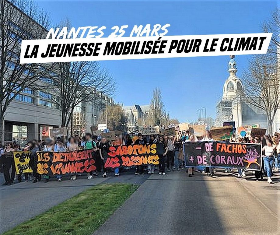 Nantes : la jeunesse mobilisée pour le climat