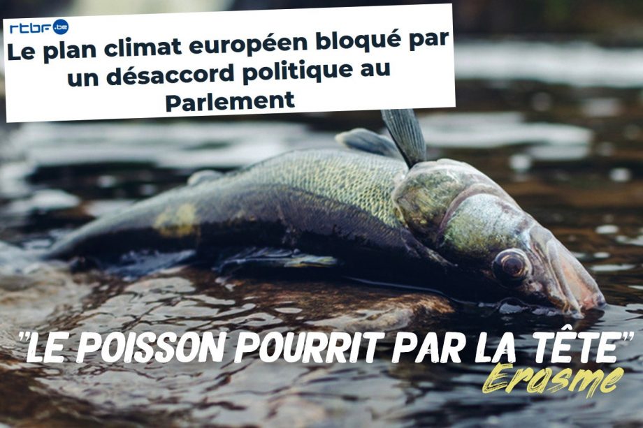 Le poisson pourrit par la tête