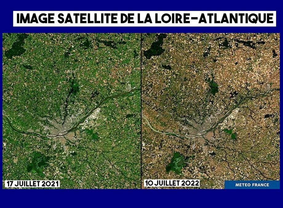 Une image vaut mille mots