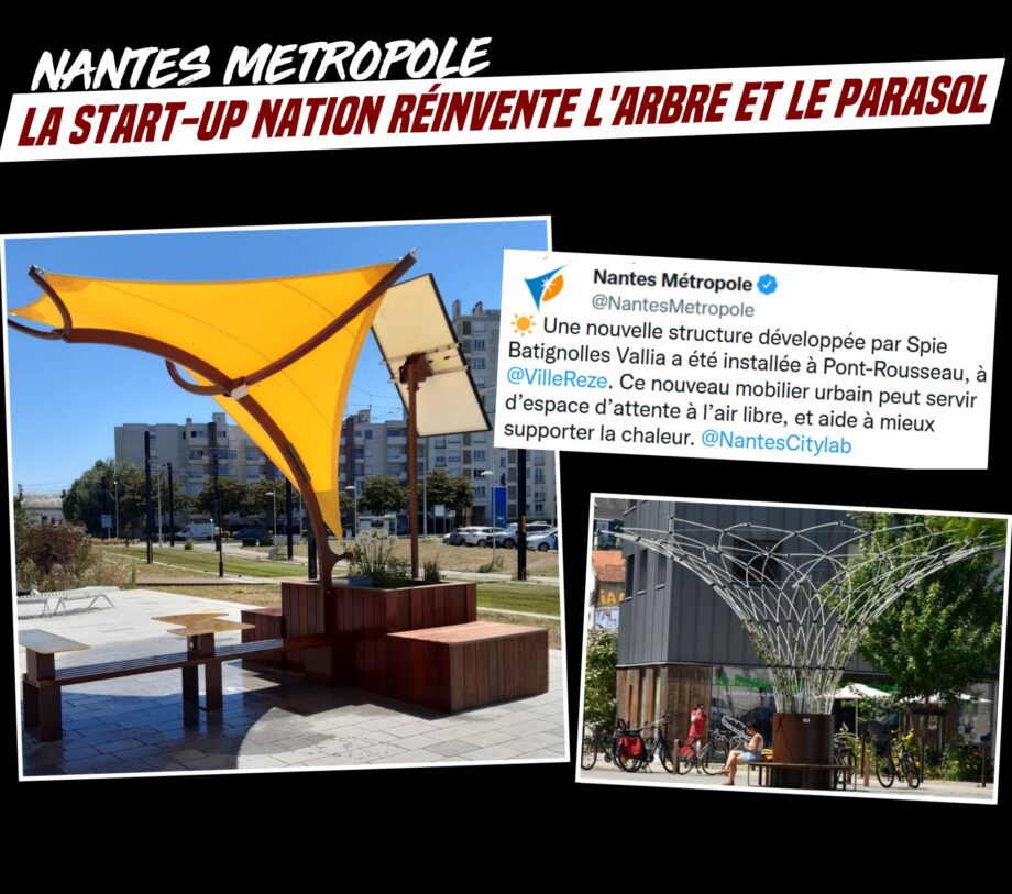 La start-up nation réinvente les arbres et les parasols