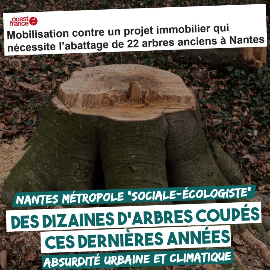 Nantes : encore des arbres coupés pour un projet immobilier