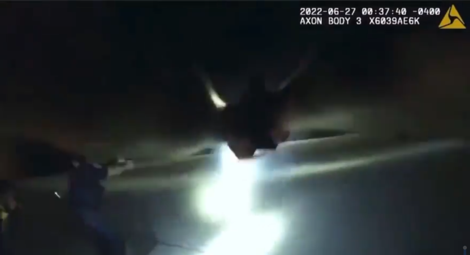 USA : des policiers abattent un homme noir de 90 coups de feu