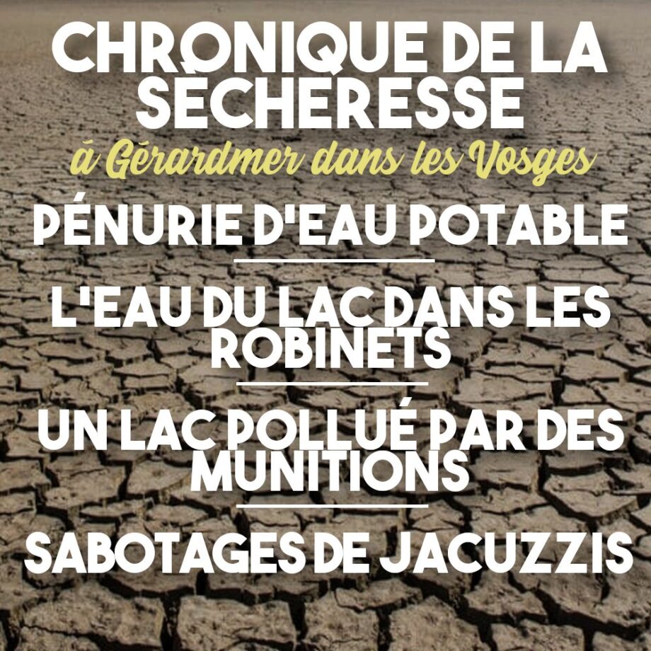 «L’eau c’est fait pour boire» : chronique de la sécheresse 2022