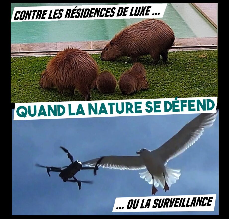 Quand la nature se défend
