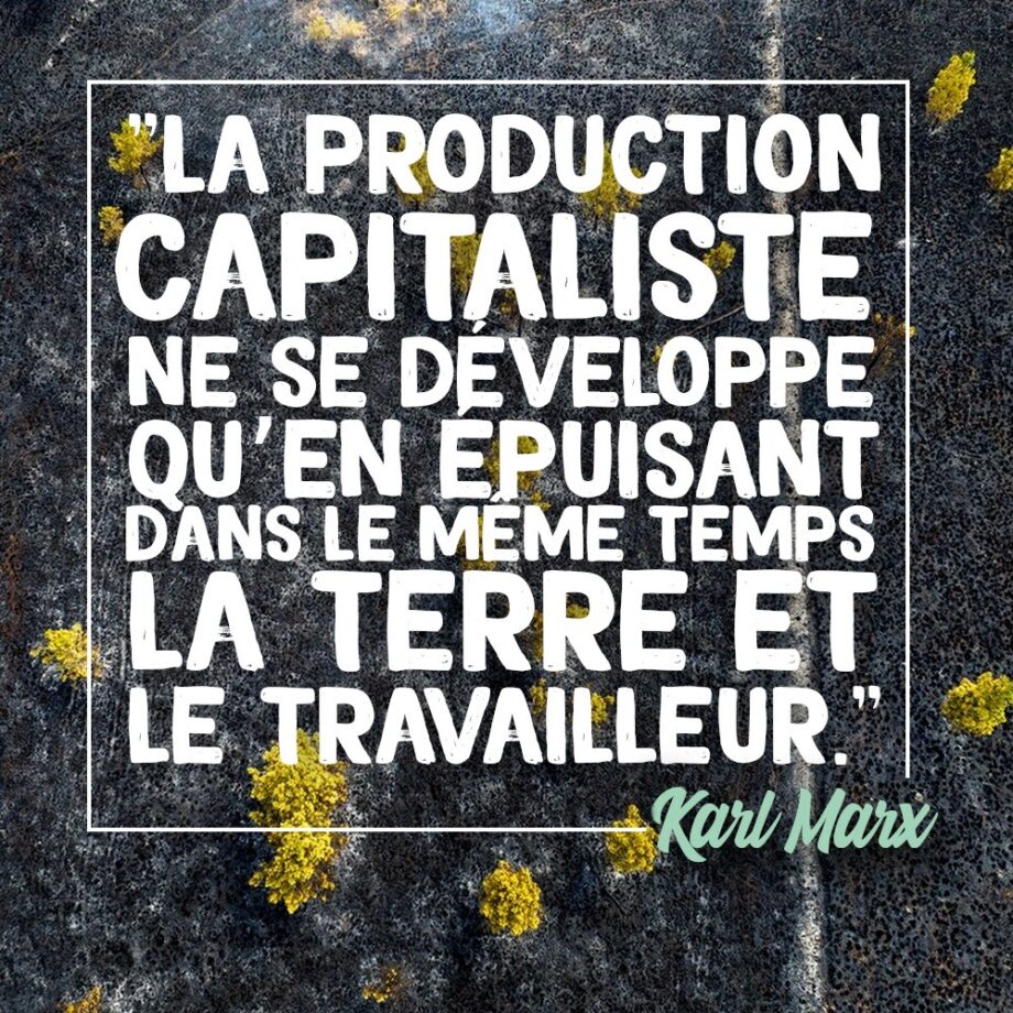 Capitalisme et environnement