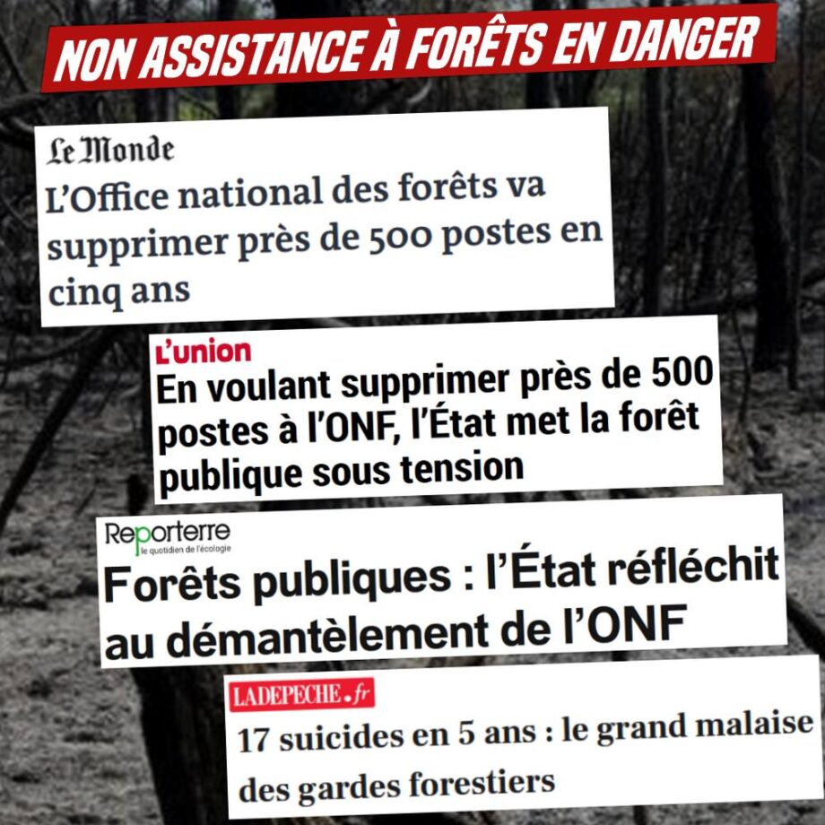 Incendies : non-assistance à forêts en danger