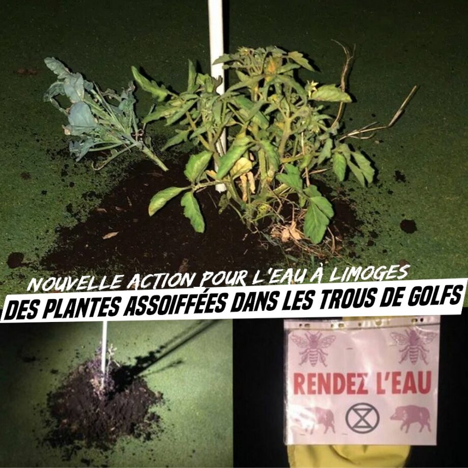 Limoge : des plantes assoiffées dans les trous d’un golf