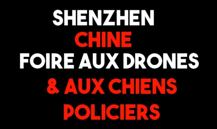 Chine : foire aux drones et robots tireurs de grenades