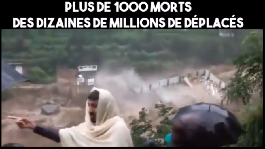 Inondations au Pakistan : plus de 1000 décès et des millions de déplacés