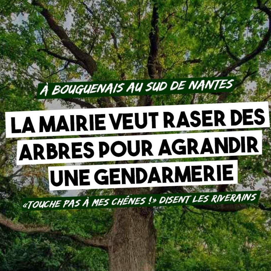 Au Sud de Nantes : raser des arbres pour agrandir une gendarmerie