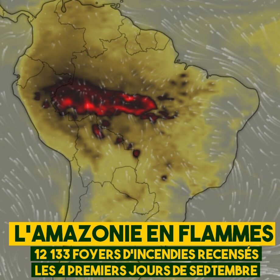 L’Amazonie en flammes
