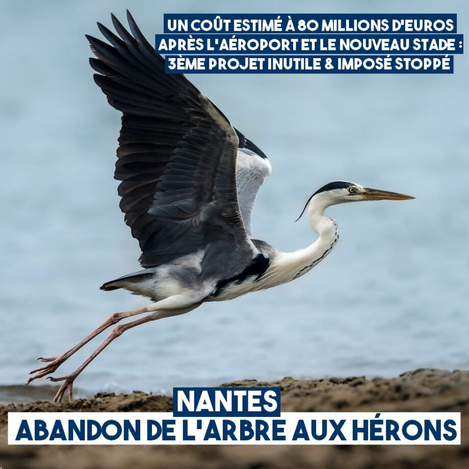 Nantes : abandon de l’Arbre aux Hérons