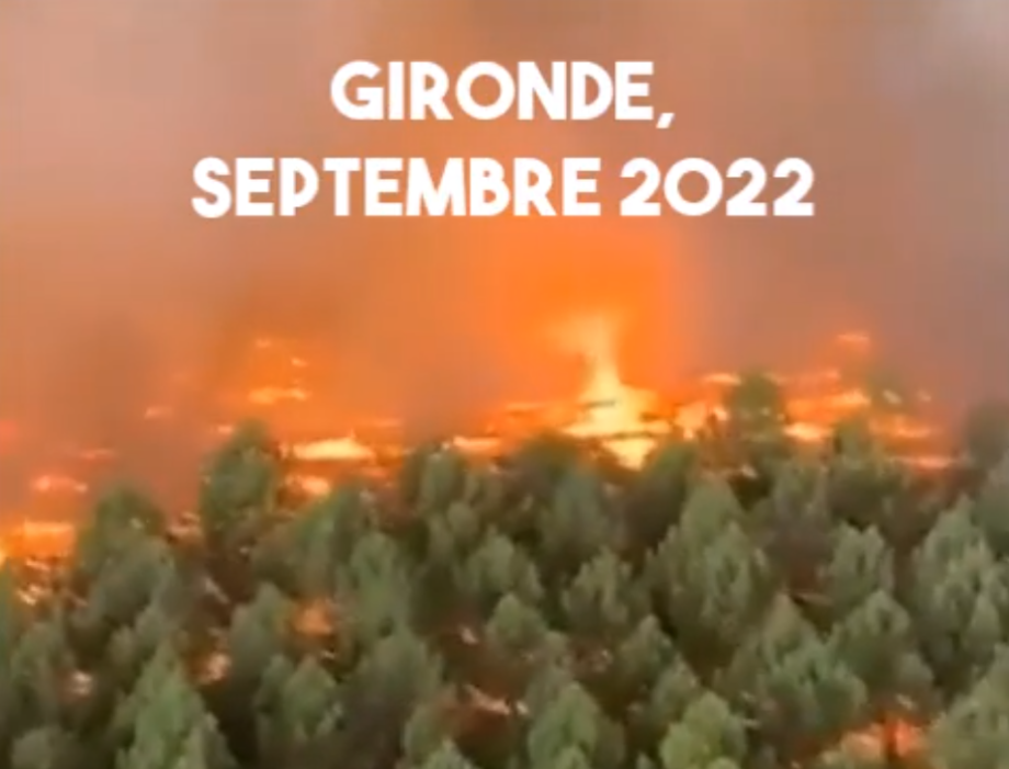 Nouvelle tornade de feu en Gironde, 3500 hectares détruits