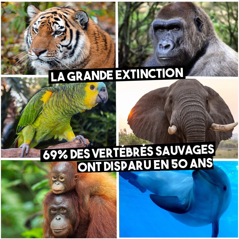 🌍 La grande extinction - Contre Attaque