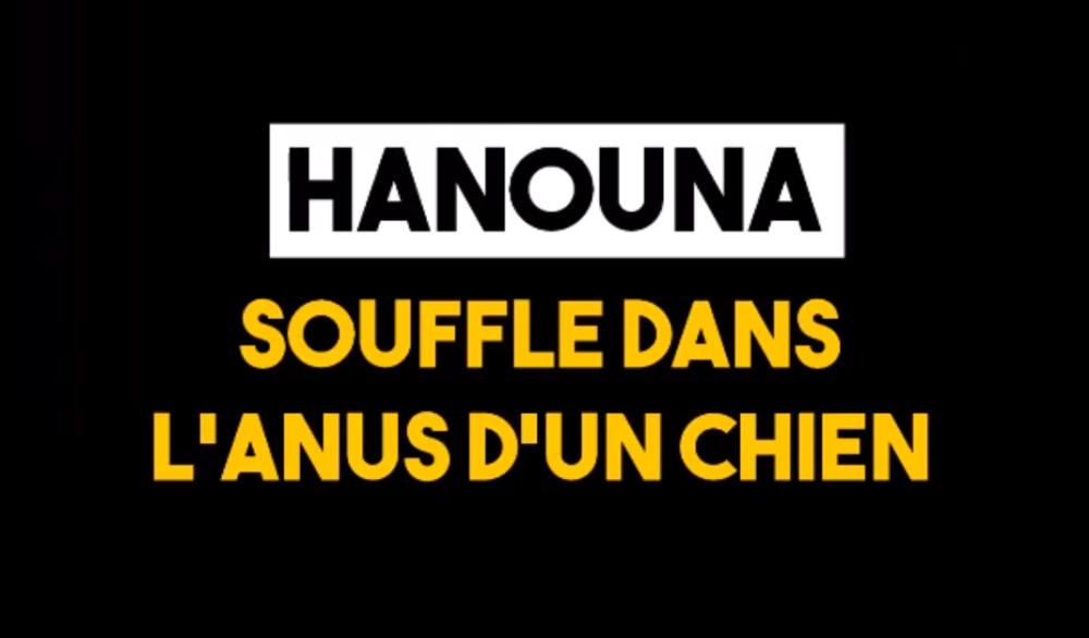 Hanouna : anus de chien et réseaux d’extrême droite