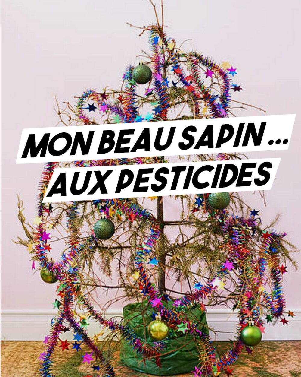 Mon beau sapin… aux pesticides !