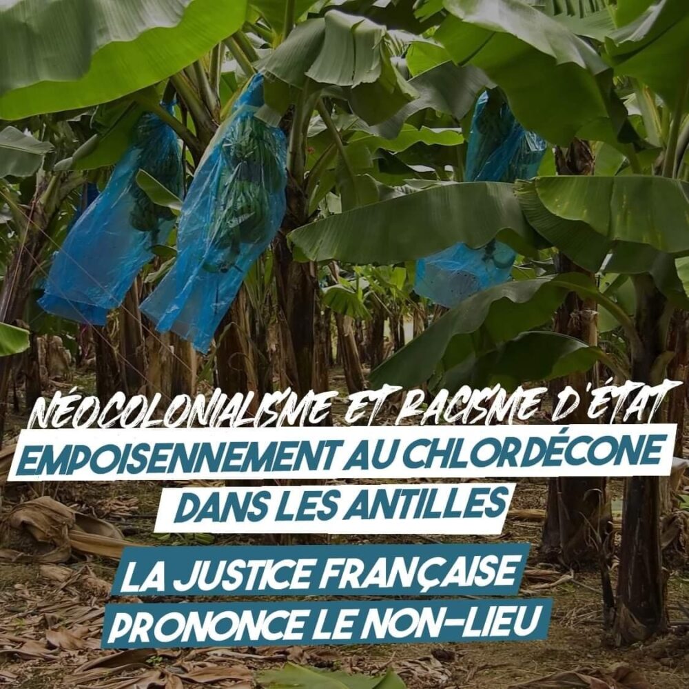Empoisonnement d’État au chlordécone : déni de justice et mépris des victimes