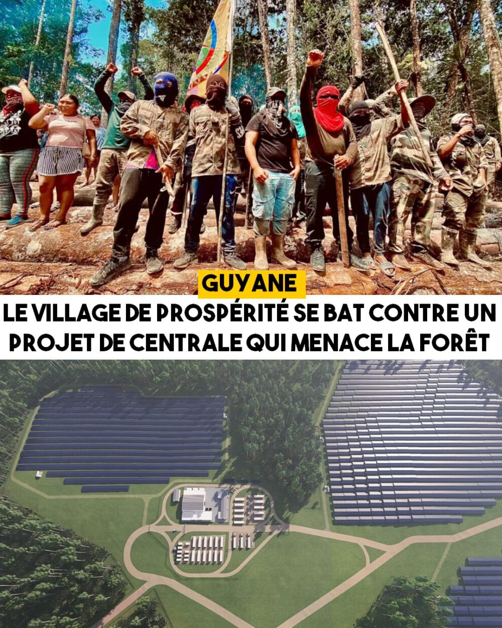 Guyane : un projet de centrale menace la forêt