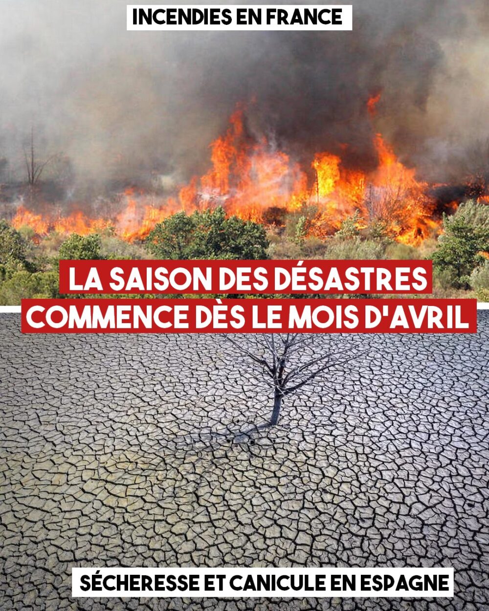 Avril : le chaos climatique est déjà là