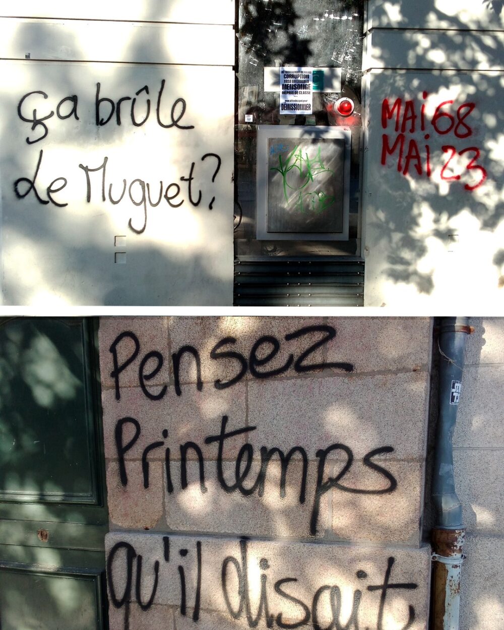 Explosion de créativité sur les murs