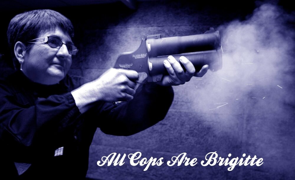 All Cops Are Brigitte