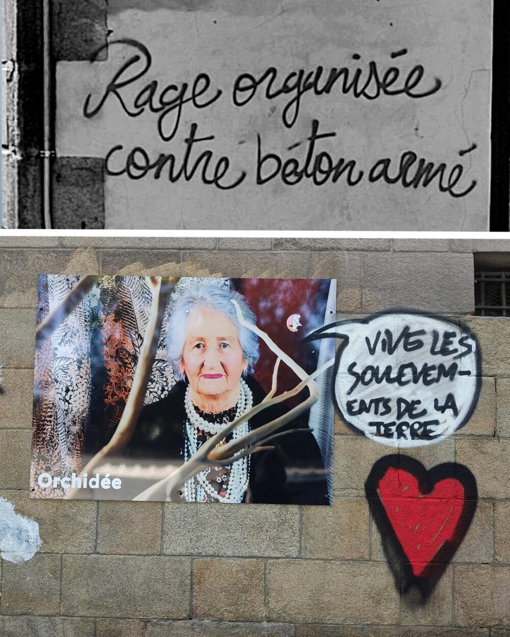 À Nantes, murs solidaires avec les Soulèvements de la Terre