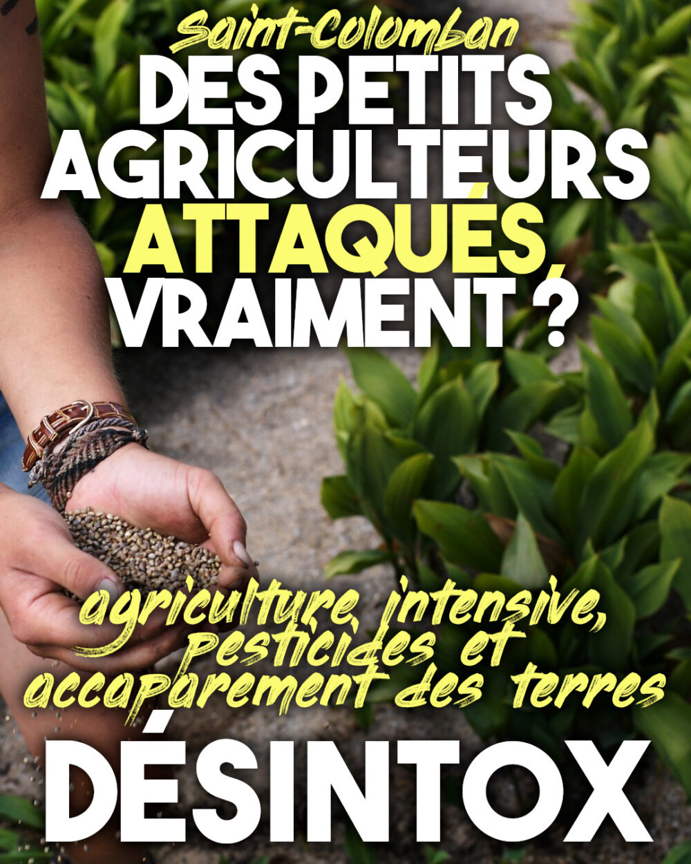 Saint-Colomban : des petits agriculteurs attaqués, vraiment ?