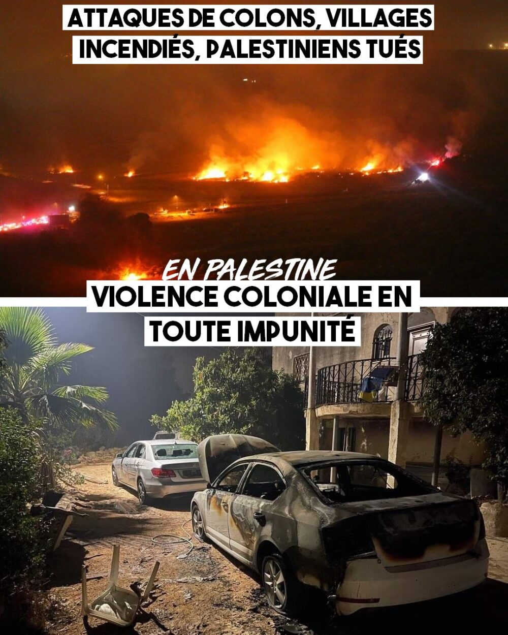 Palestine : violence coloniale en toute impunité