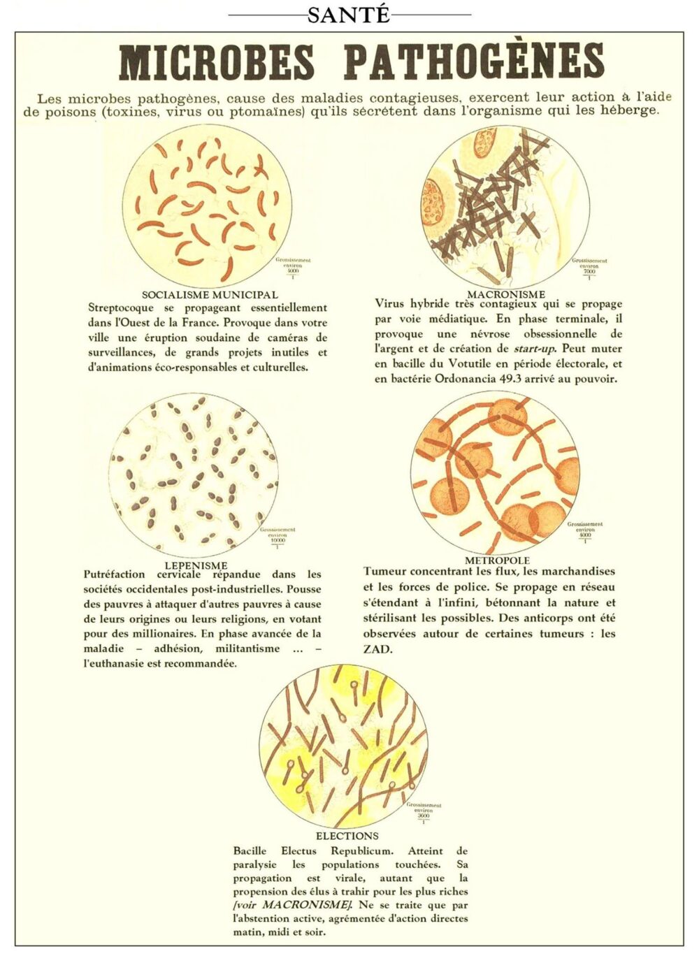 Microbes pathogènes