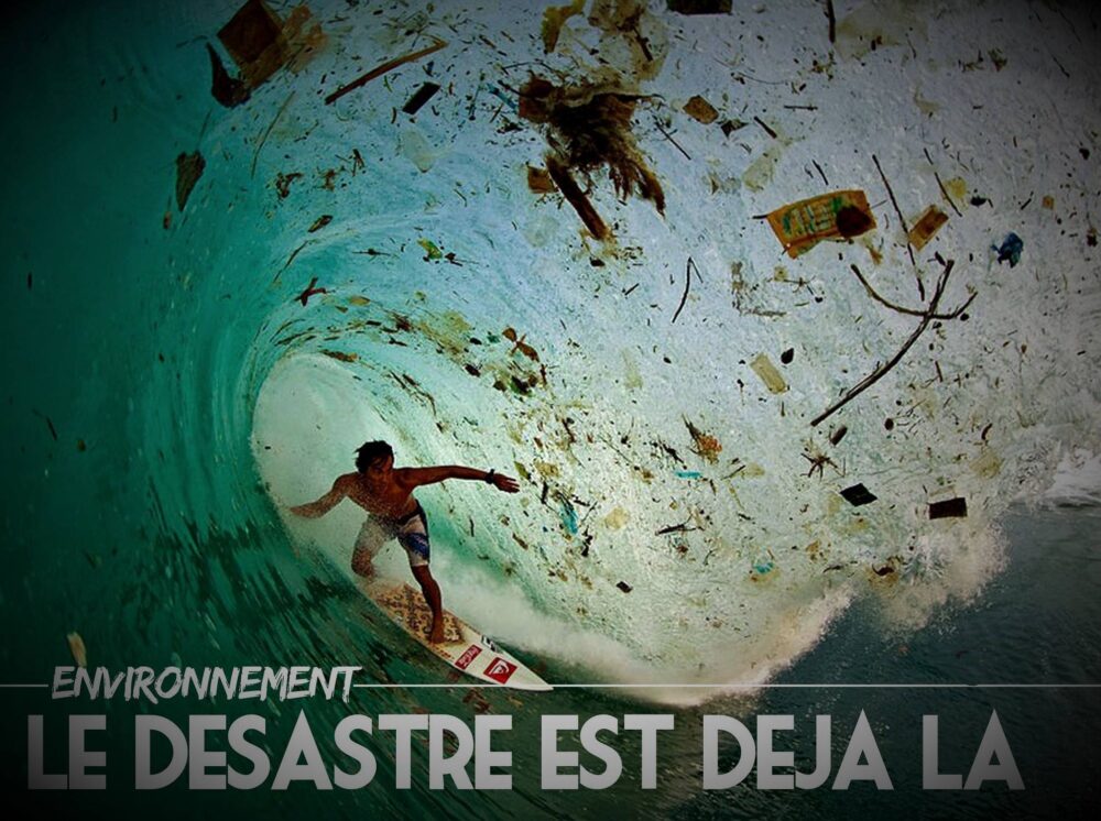 Environnement : le désastre est déjà là
